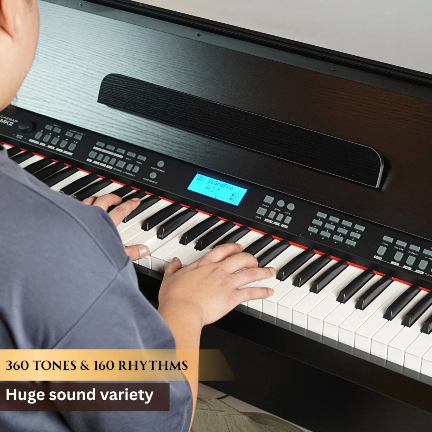 Vault Caesar MK2 88 Key Digital Piano - Image 32