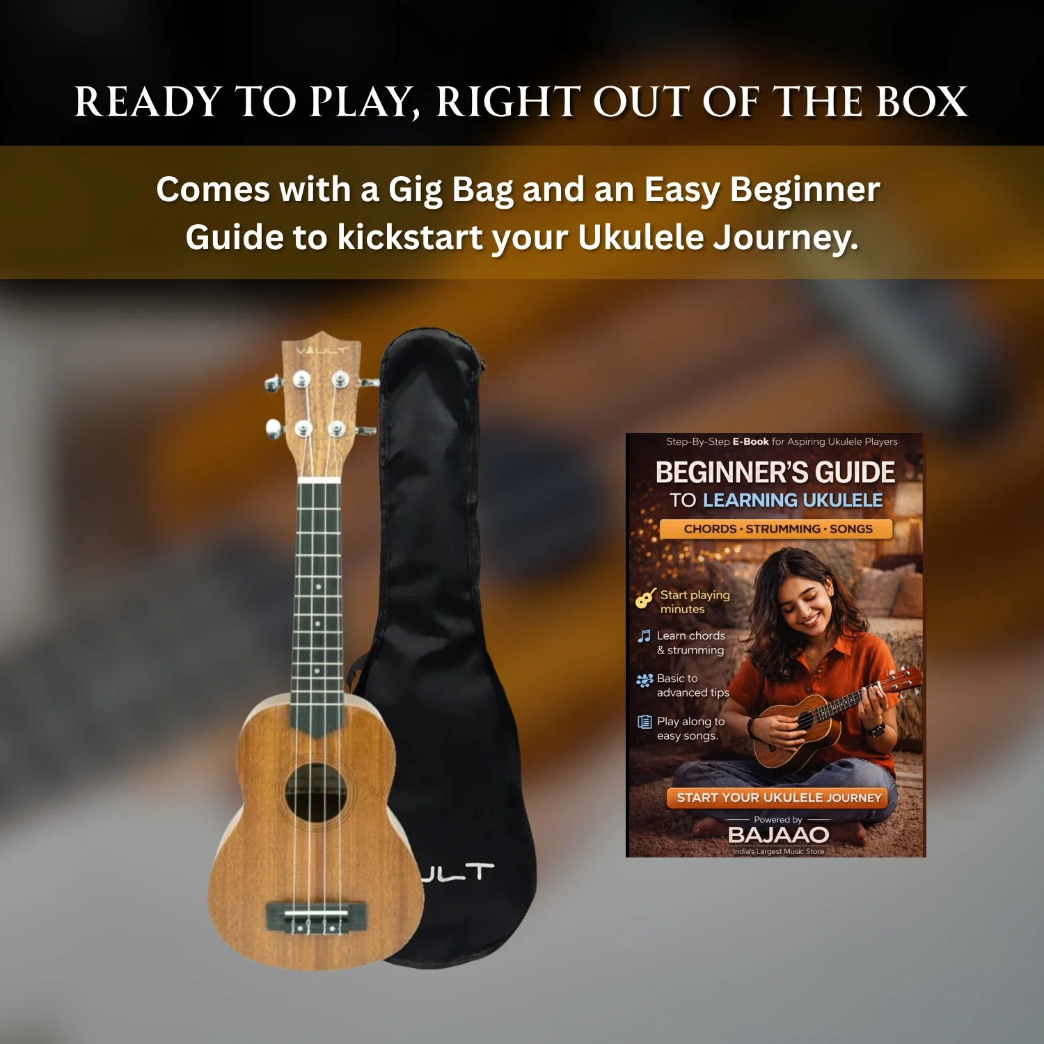 Vault UK-100S 21 inch Arched Back Soprano Ukulele With Gig Bag & Ebook - Image 8