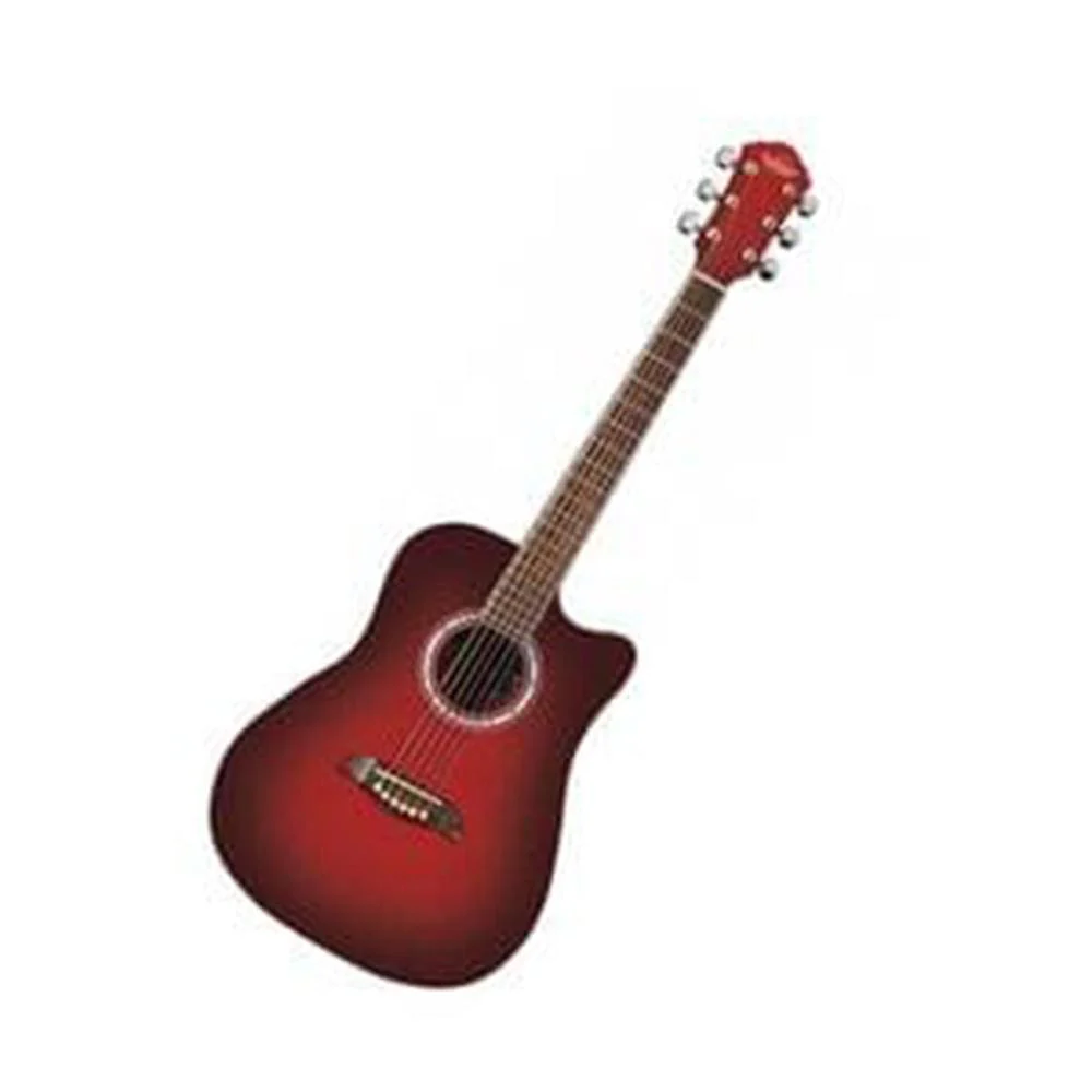 Washburn OD45CRDBPAK Dreadnought Acoustic Guitar - Image 3